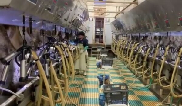 parallel parlour
