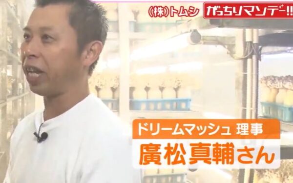 hiromatusinsuke