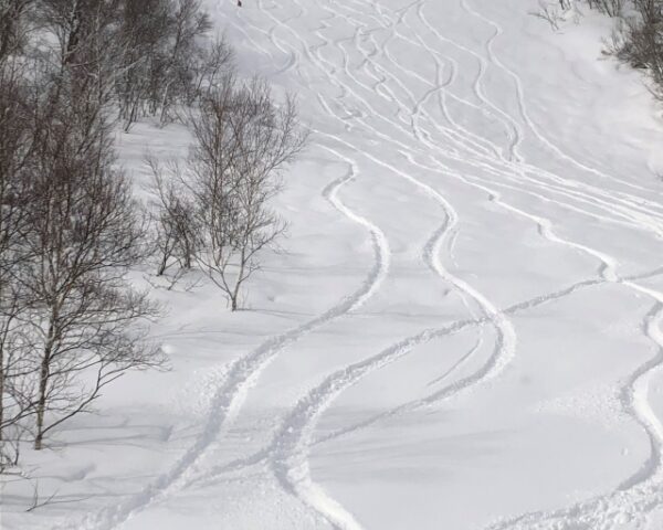 SPOOLING ON FRESH SNOW