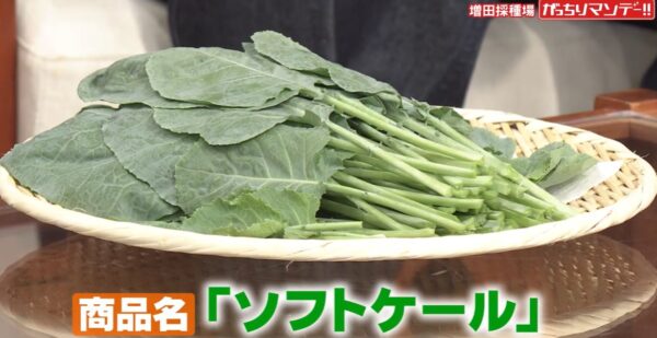 soft-kale