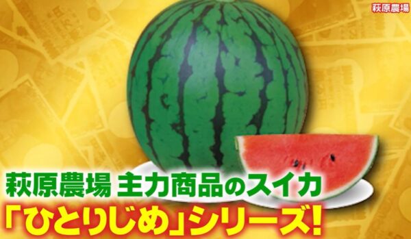 hitorijimesiri-zu