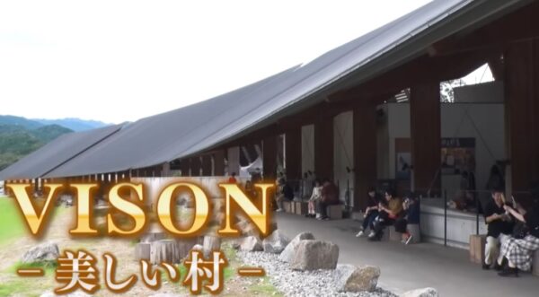 vison