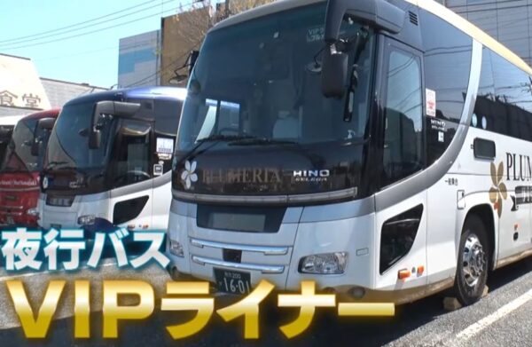 vip-liner