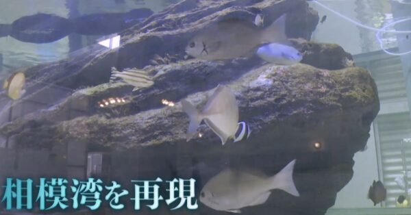 20ｔsuiso