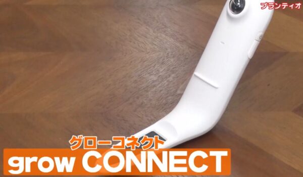 grow connect