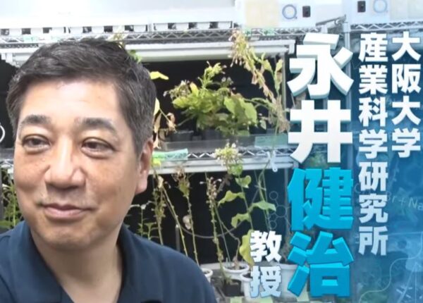 nagaitakeharu