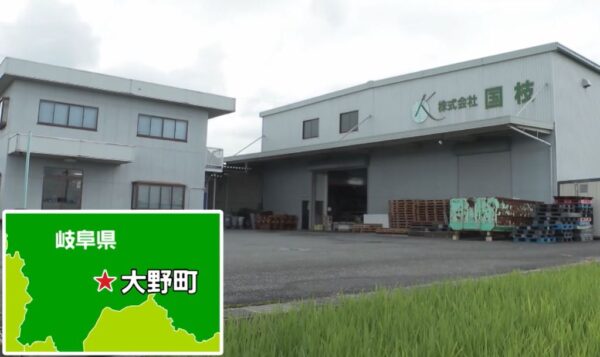 gacchiri-kunieda-onsen-tatami