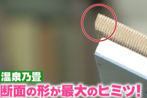 nanamenodanmen