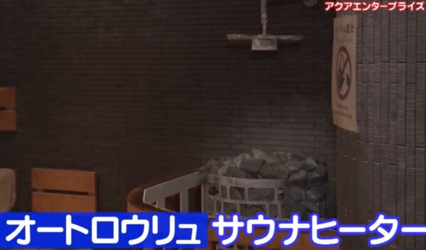 AUTO-RORYU-SAUNA-HEEATER