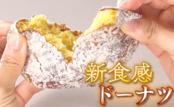donut plane