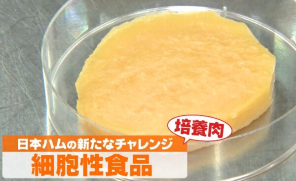 saibouseisyokuhin