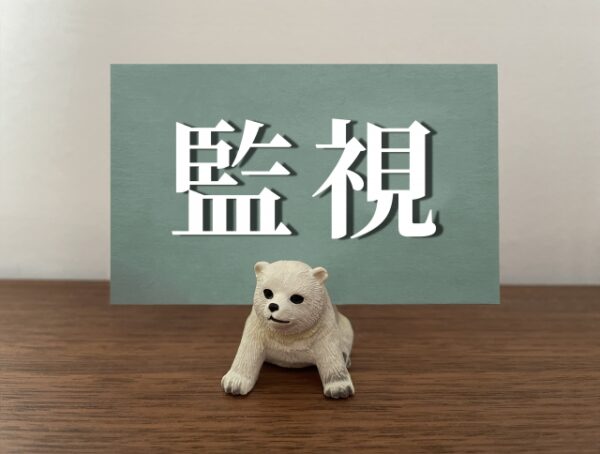 ai-kuma-camera-pro-price