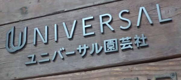 cambria-universalengei-morisaka