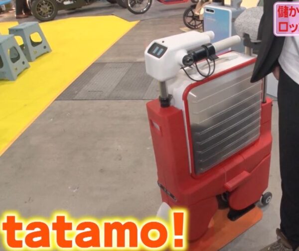 tatamo