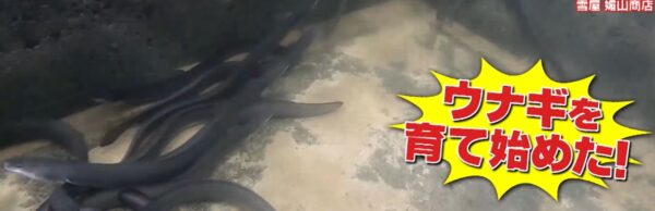 unaginoyousyoku