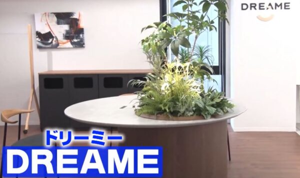 dreame-x50-ultra-review