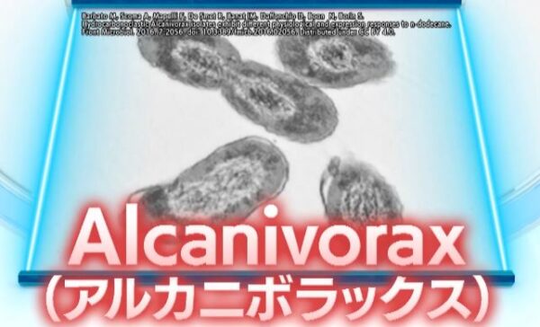 arukaniborax