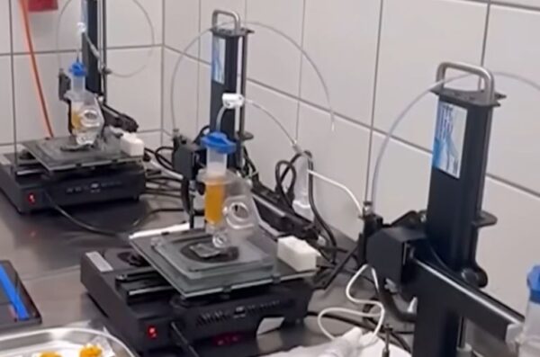 3d-food-printer