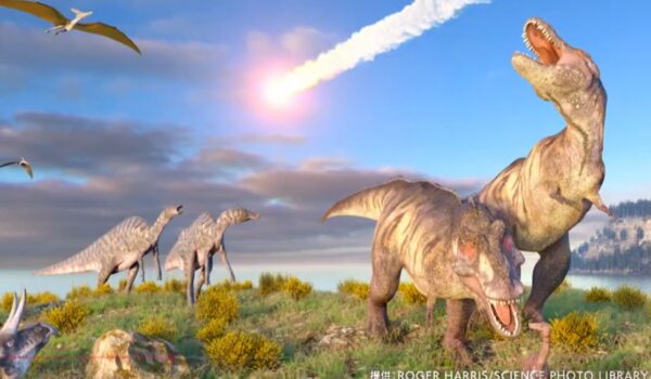 imakara-science-meteorite-2026