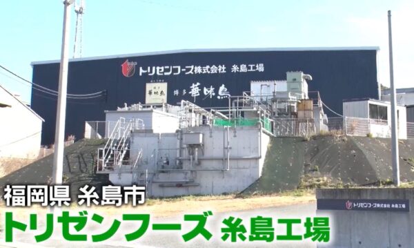 gacchiri-trizen-jumbo-chickatsu