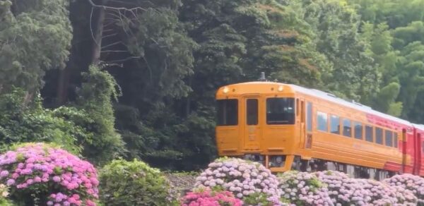 gacchiri-jr-kyushu-shikoku-train