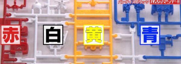 ４色に色分け