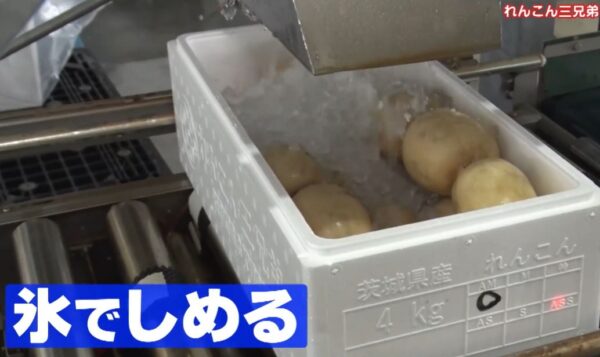 氷でしめる