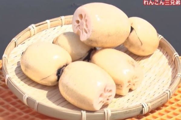 茨城県はれんこんの生産日本一