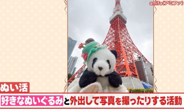 ぬい活