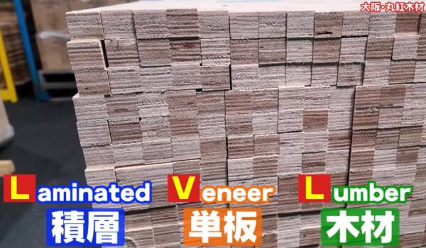 LVL